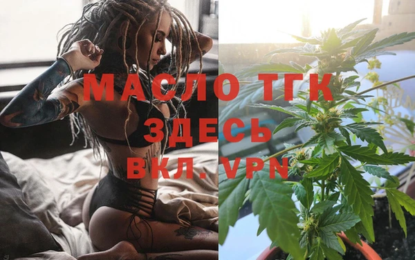 прущие крисы Ельня