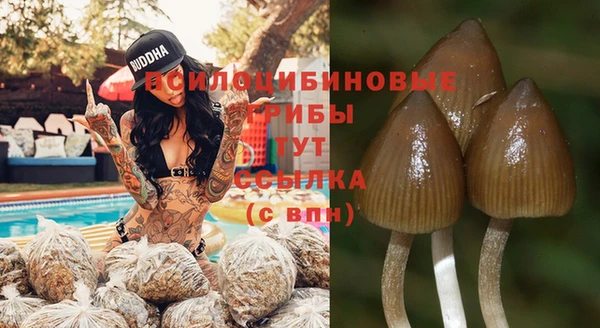 сатива Елабуга