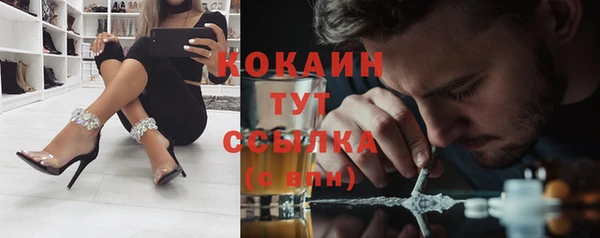 сатива Елабуга