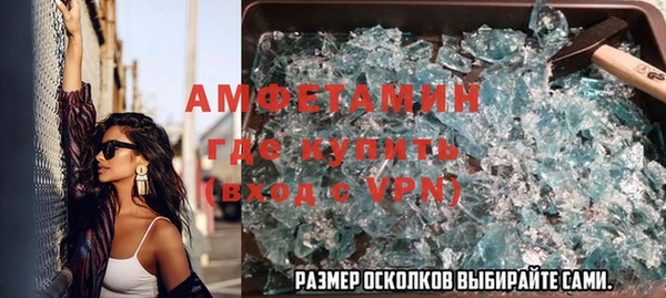 сатива Елабуга