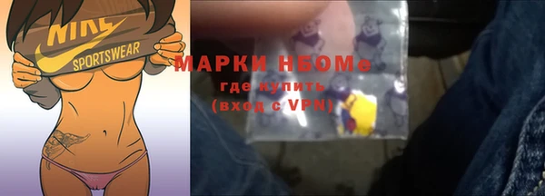 сатива Елабуга