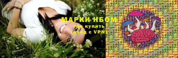 прущие крисы Ельня