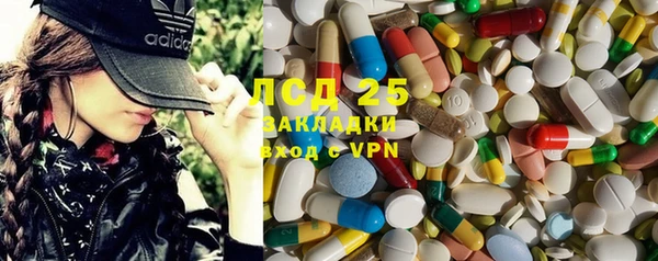сатива Елабуга