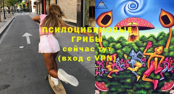 прущие крисы Ельня