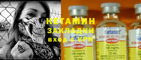 сатива Елабуга