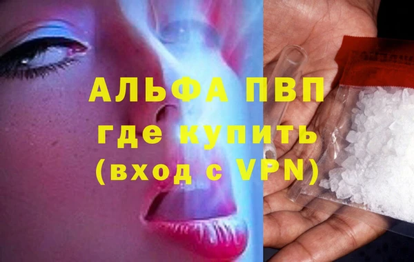сатива Елабуга