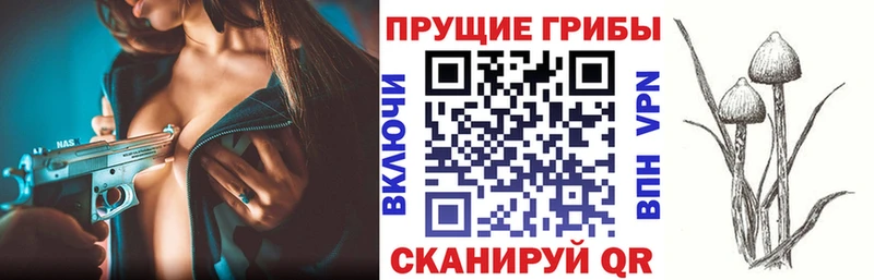 Псилоцибиновые грибы мухоморы  Купить где  Ликино-Дулёво 